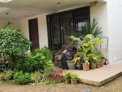 Jalan Chempaka Puteh (D16), Terrace #471683611